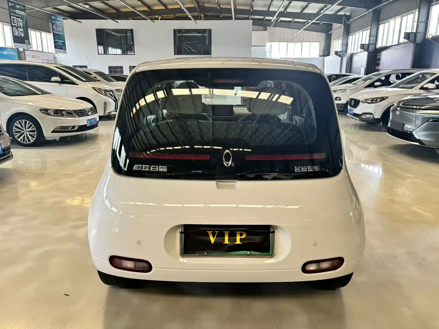 Ora White Cat 2021 2020 305km Luxury