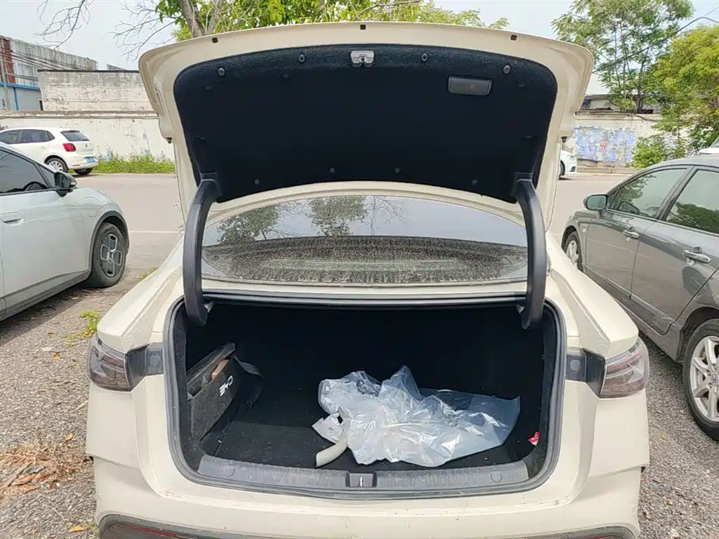 BYD Seal 06 New Energy 2025 DM-i Smart Drive Edition 120KM Luxury фото 15
