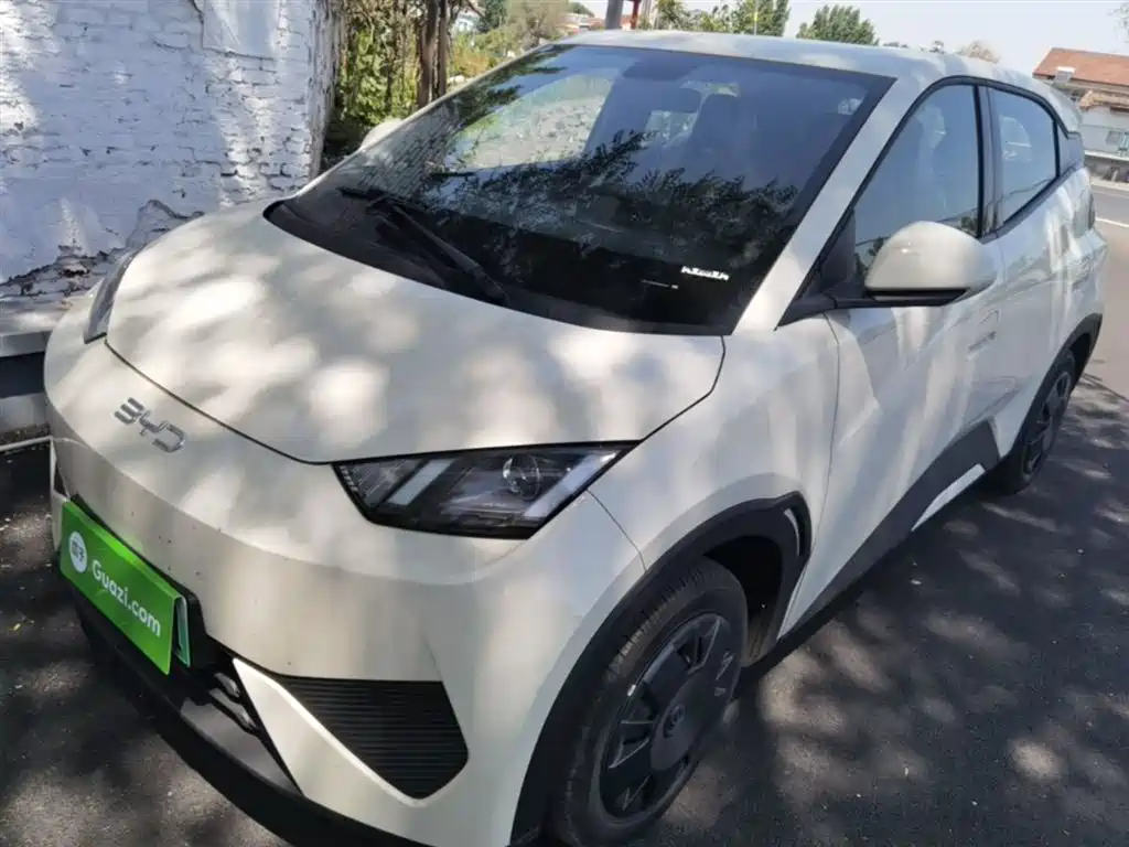 BYD Seagull 2025 Smart Drive Edition 305km Vitality Version фото 2