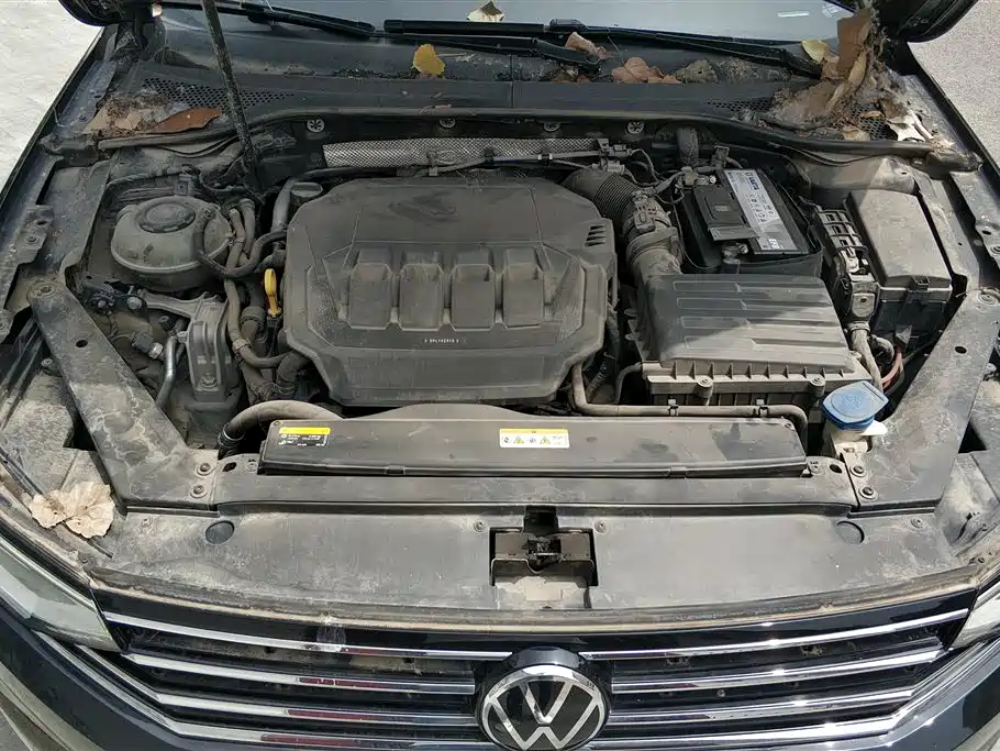 Volkswagen Magotan 2020 330TSI DSG Leading фото 10