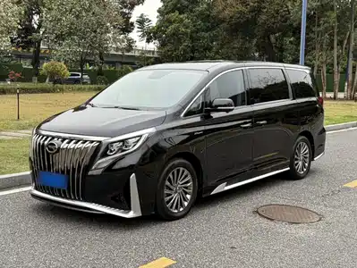 Trumpchi M8