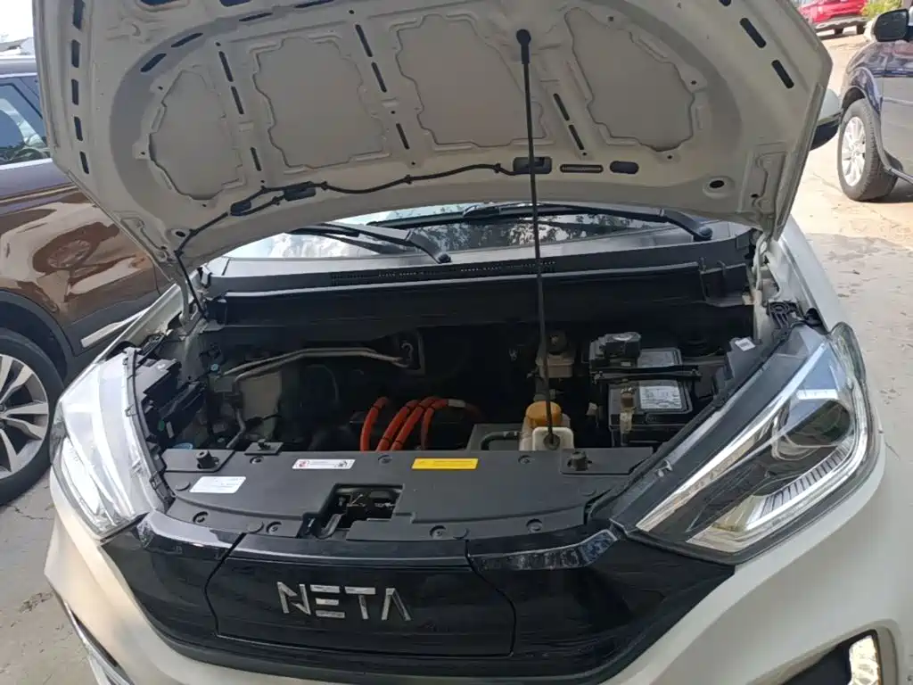Nezha Auto Nezha N01 2020 2020 380v