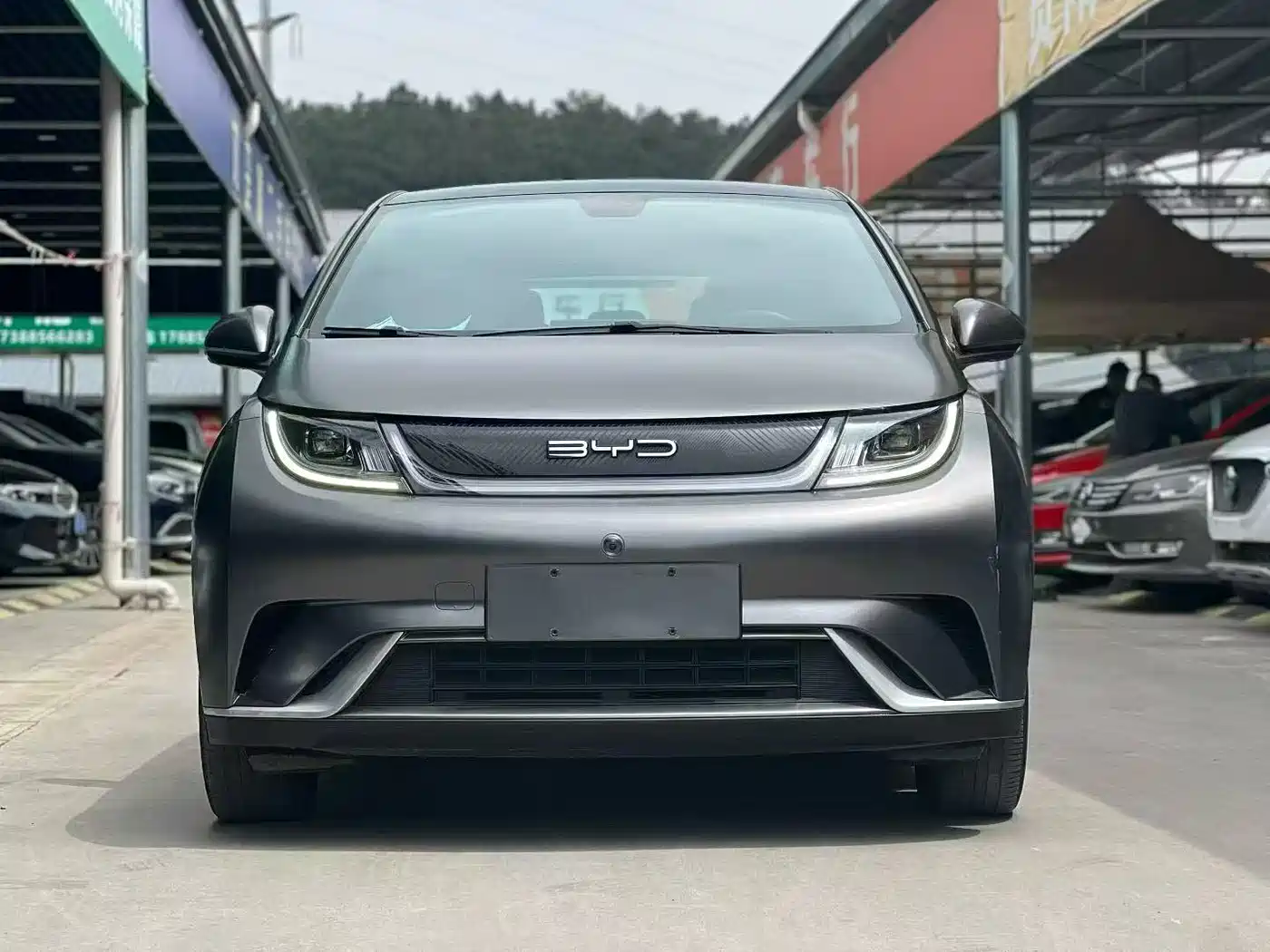 BYD Dolphin 2021 Model 405km Fashion Edition фото 2