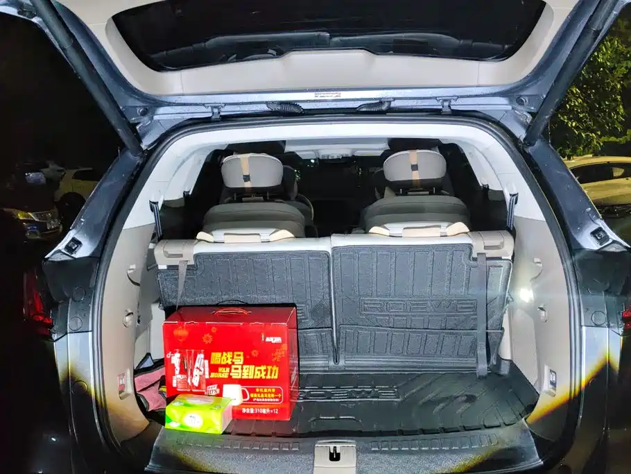 Roewe RX9 2025 2023 2.0T 2WD Premium Edition