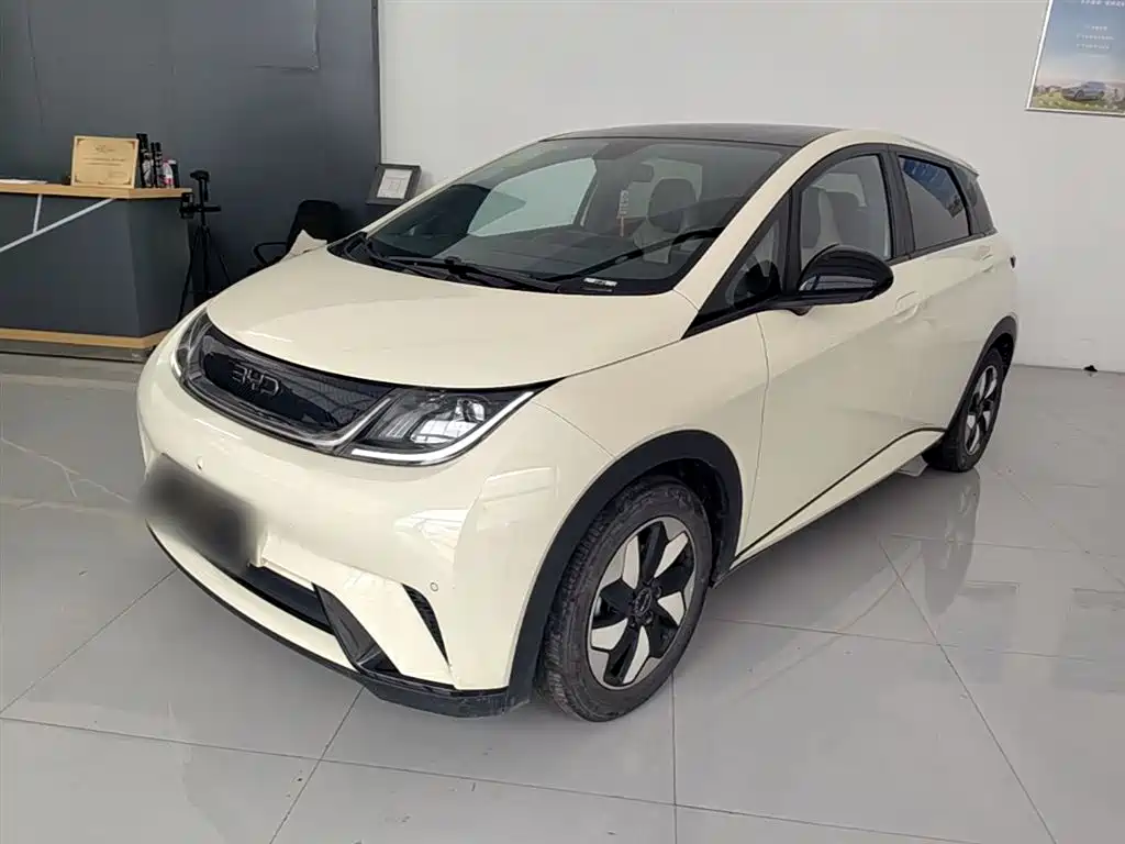 BYD Dolphin 2024 Glory Edition 420km Fashion Edition фото 2