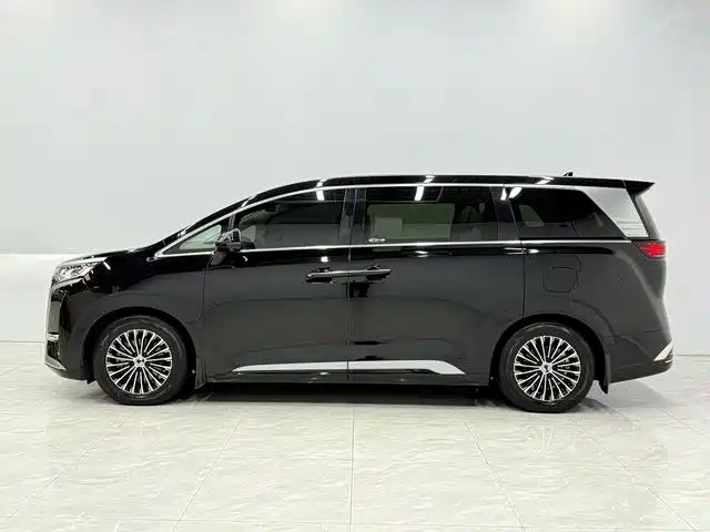 Denza D9 2022 DM-i 970 AWD Flagship фото 4