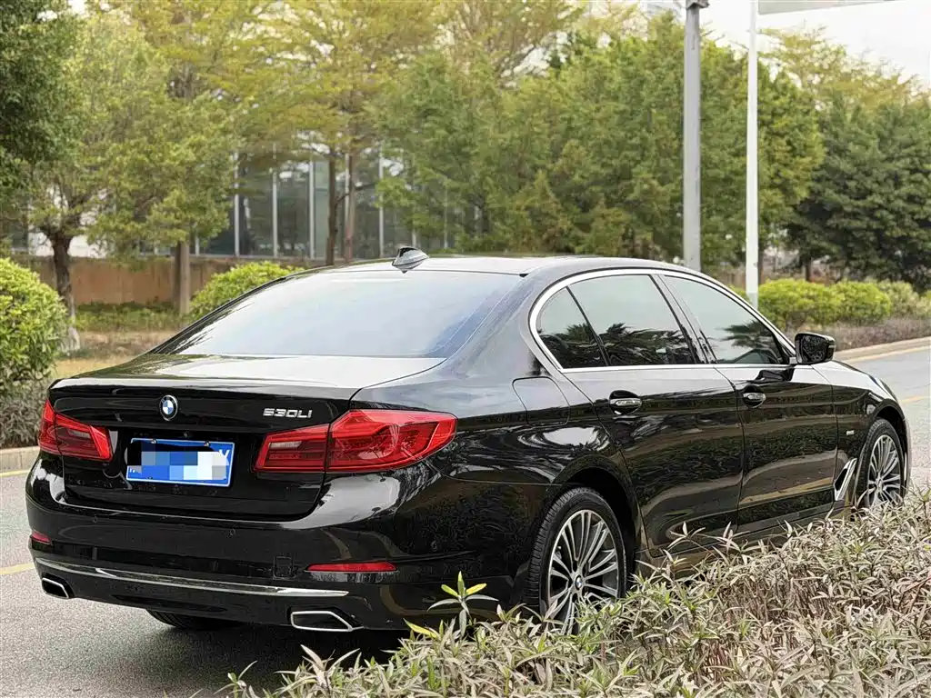 BMW 5 Series 2018 530Li Exclusive Luxury Package фото 18