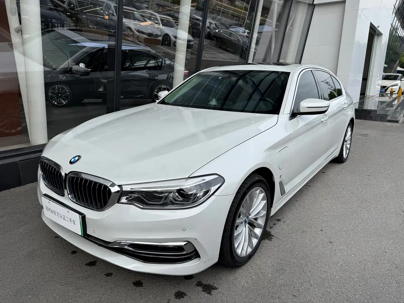 BMW 5 Series New Energy 2019 530Le Luxury Package