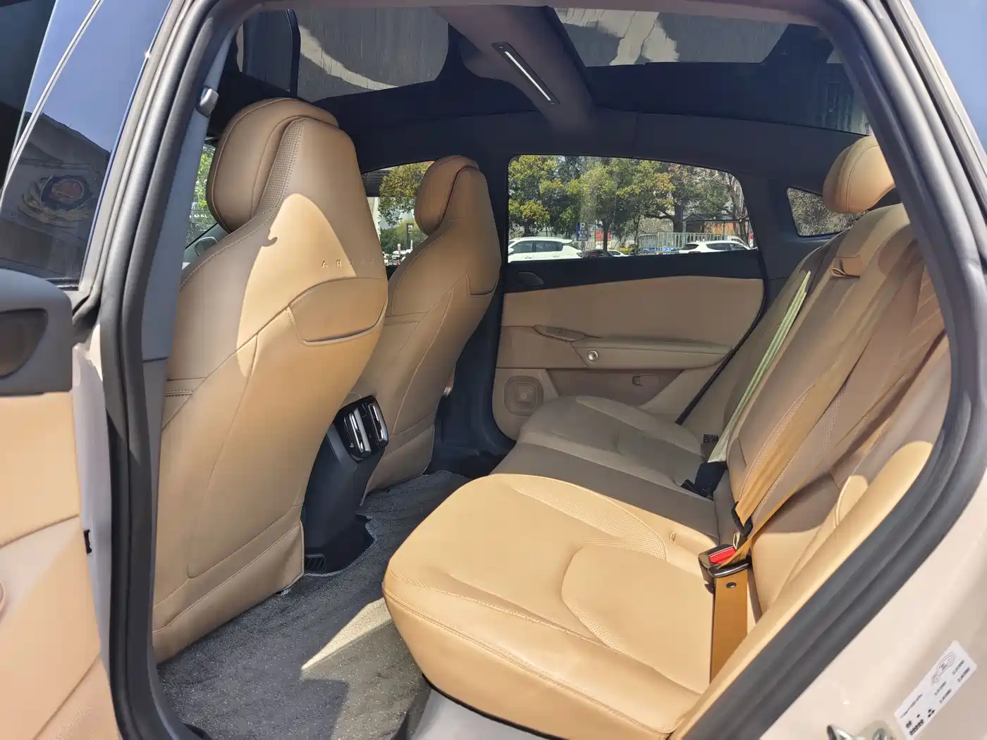 ARCFOX EXTREME FOX POLAR FOX ALPHA S5