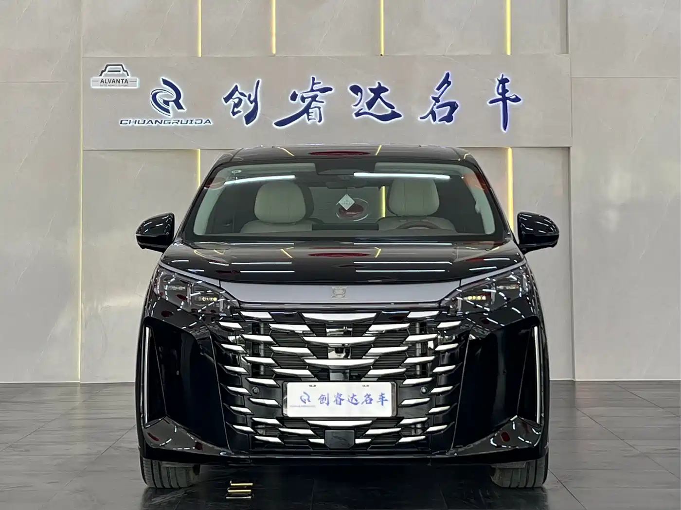 BYD Xia 2025 DM-i 1.5T 180km Surpass Edition фото 2