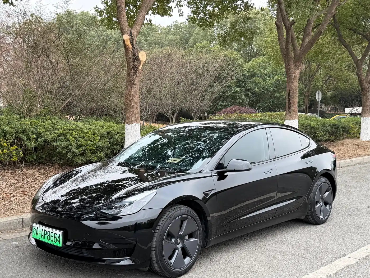 TESLA MODEL 3
