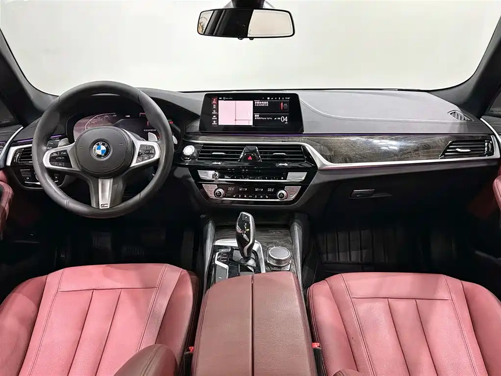 BMW 5 Series 2020 530Li Leading M Sport Package фото 12
