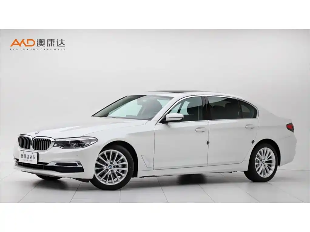BMW 5 Series 2020 530Li Leading Luxury Package
