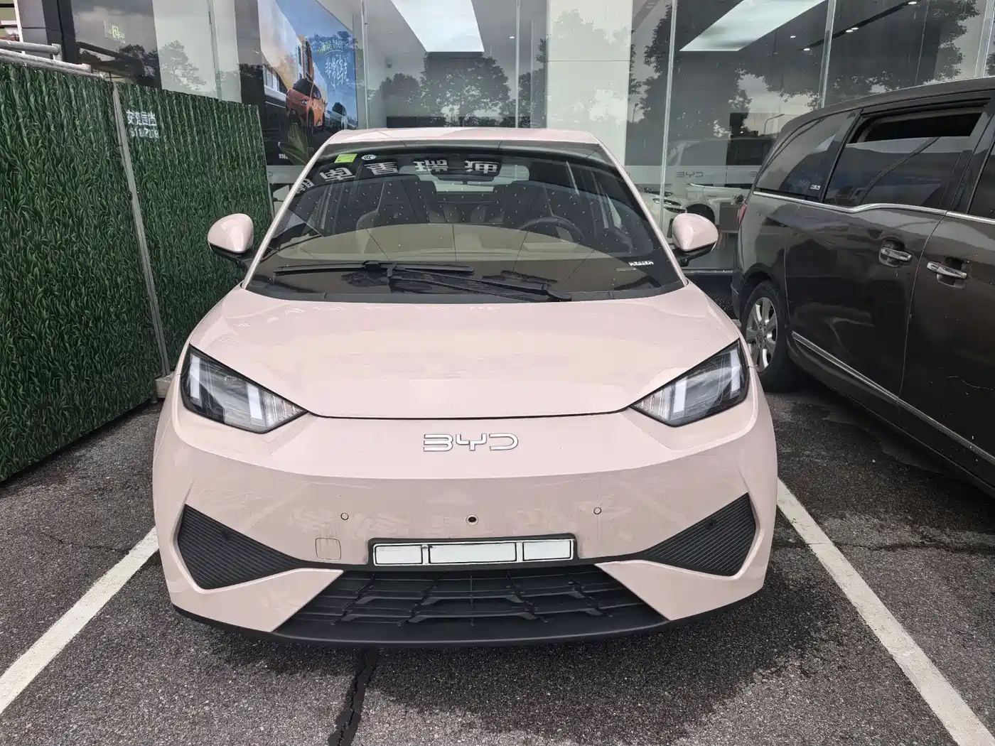 BYD Seagull 2025 Smart Drive Edition 305km Freedom Version фото 2