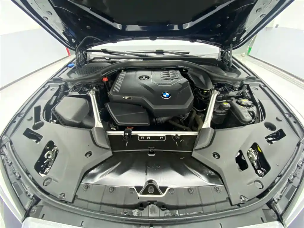 BMW 5 Series 2021 530Li Leading M Sport Package фото 12