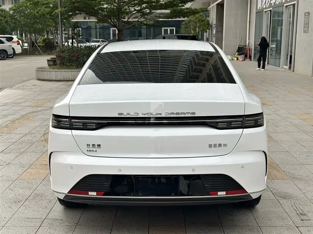 BYD Destroyer 05 2024 Glory Edition DM-i 120KM Luxury фото 5