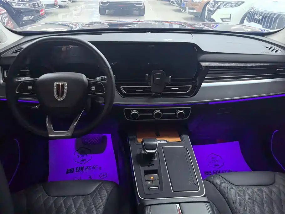 Hongqi HS5 2023 2.0T Flag Enjoy Pro Edition фото 12