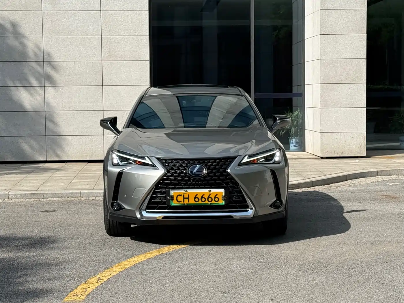 Lexus UX Electric 2020 300e Pure Enjoyment Edition фото 2