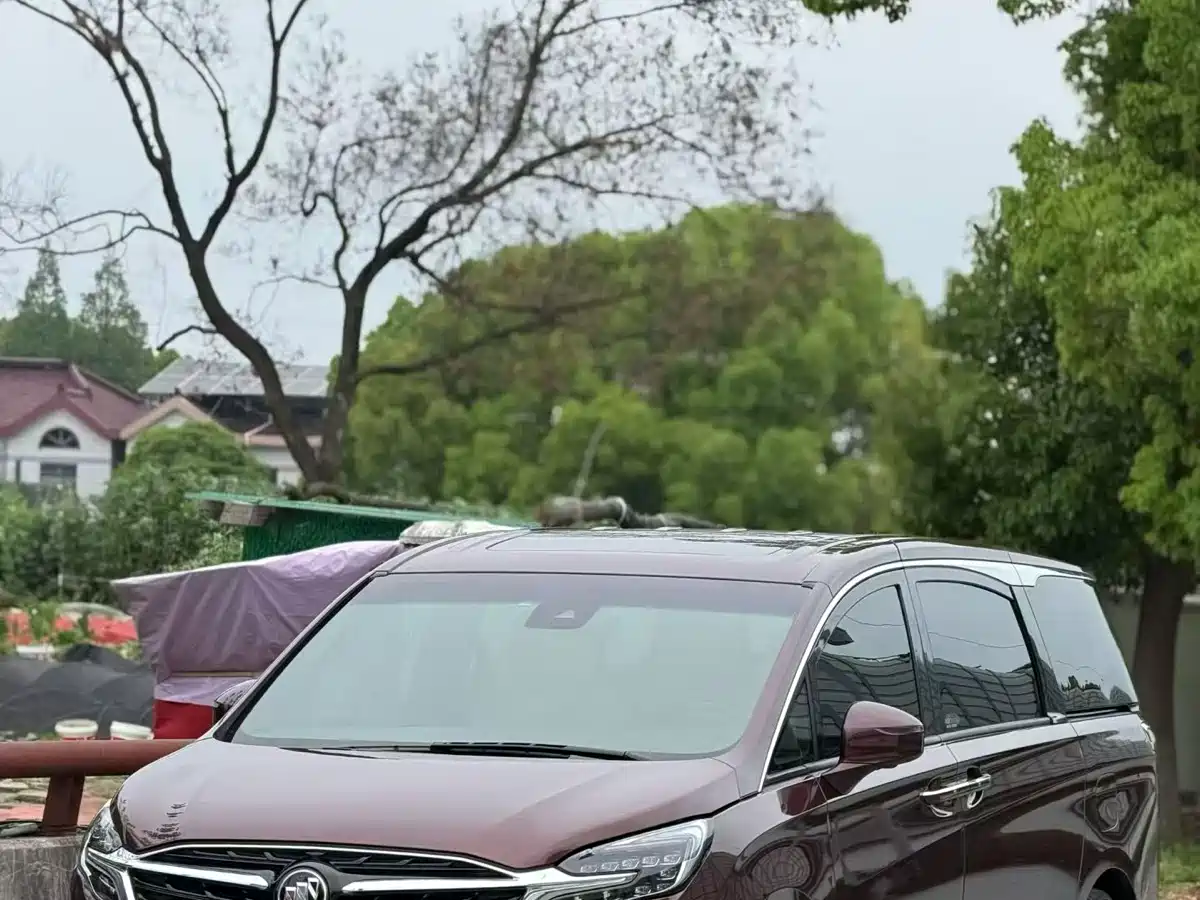 Buick GL8 2022 ES Landmark 653T Comfort фото 2