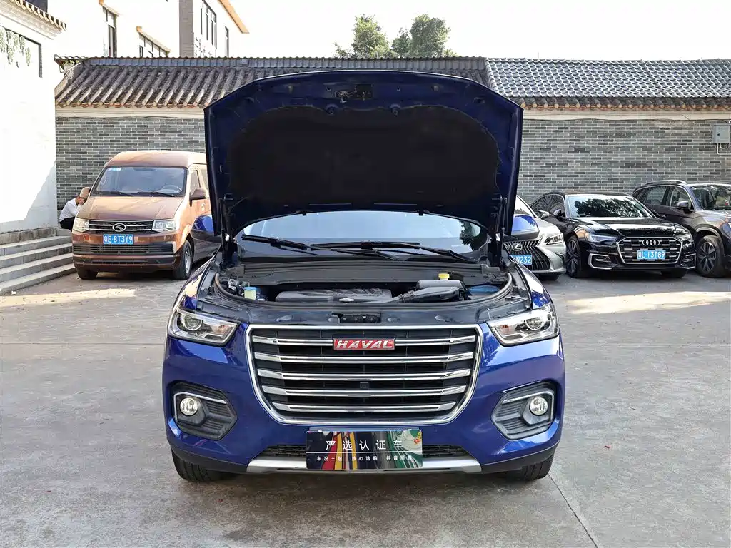 Haval H4 2018 Red Label 1.5GDIT DCT Trend Edition фото 14