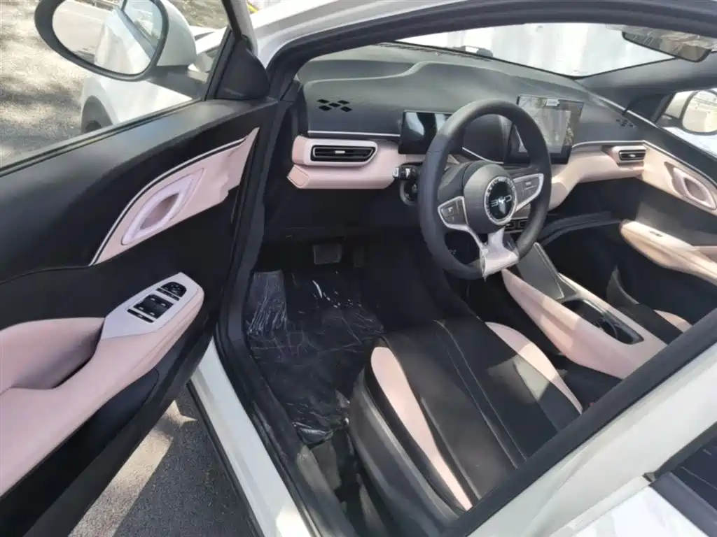 BYD Seagull 2025 Smart Drive Edition 305km Vitality Version фото 16