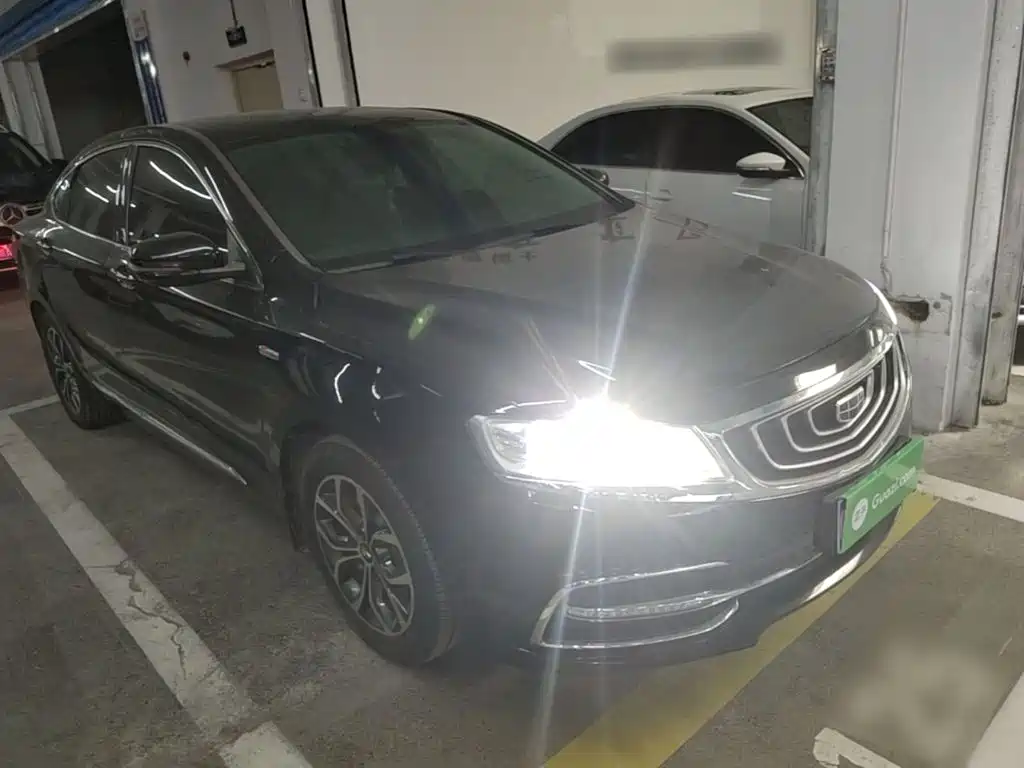 Фото 22 - Geely Borui