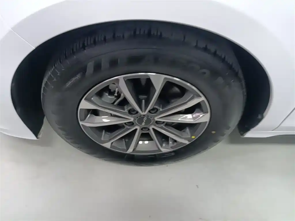 BYD Destroyer 05 2024 Glory Edition DM-i 55KM Luxury фото 19