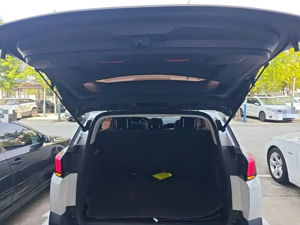 Фото 19 - Peugeot 5008