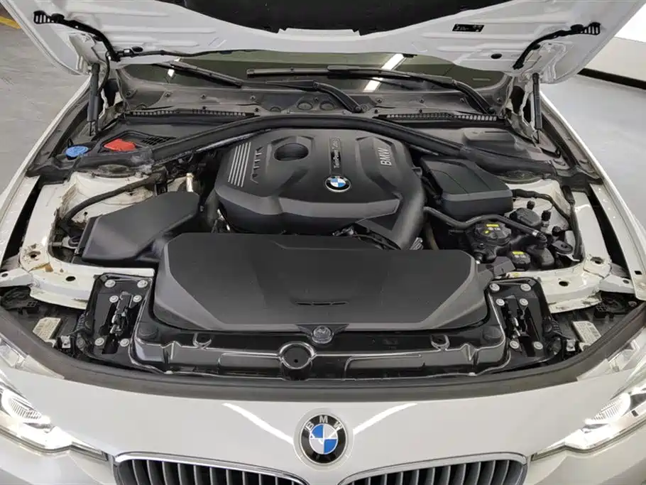 BMW 3 Series 2018 320Li xDrive Fashion Style фото 10