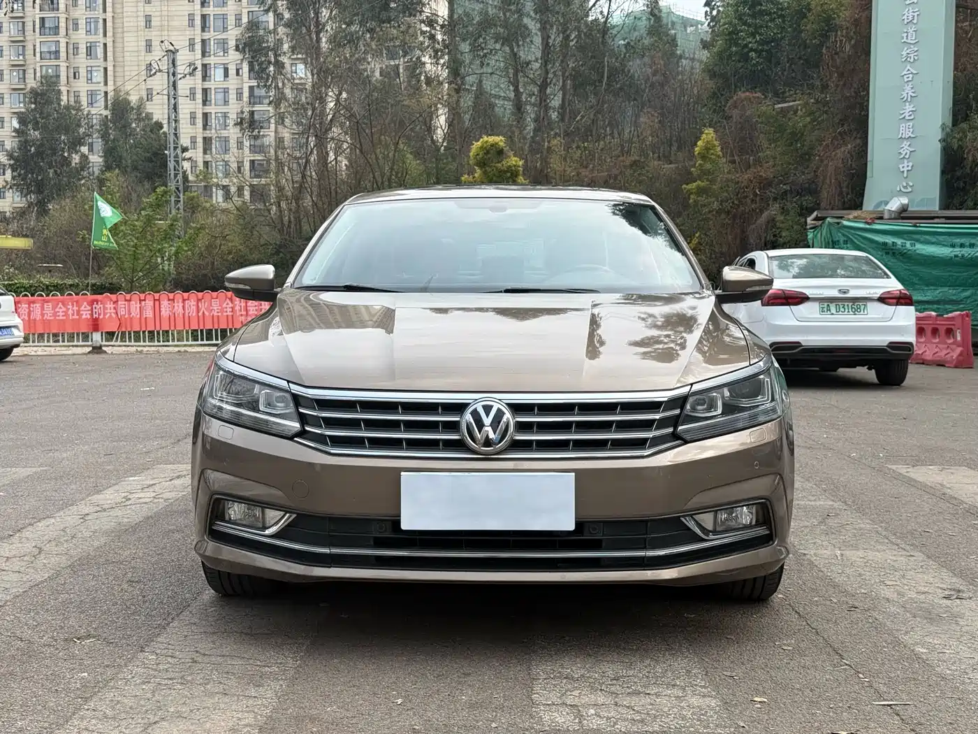 Volkswagen Passat 2016 330TSI DSG Executive Edition фото 2