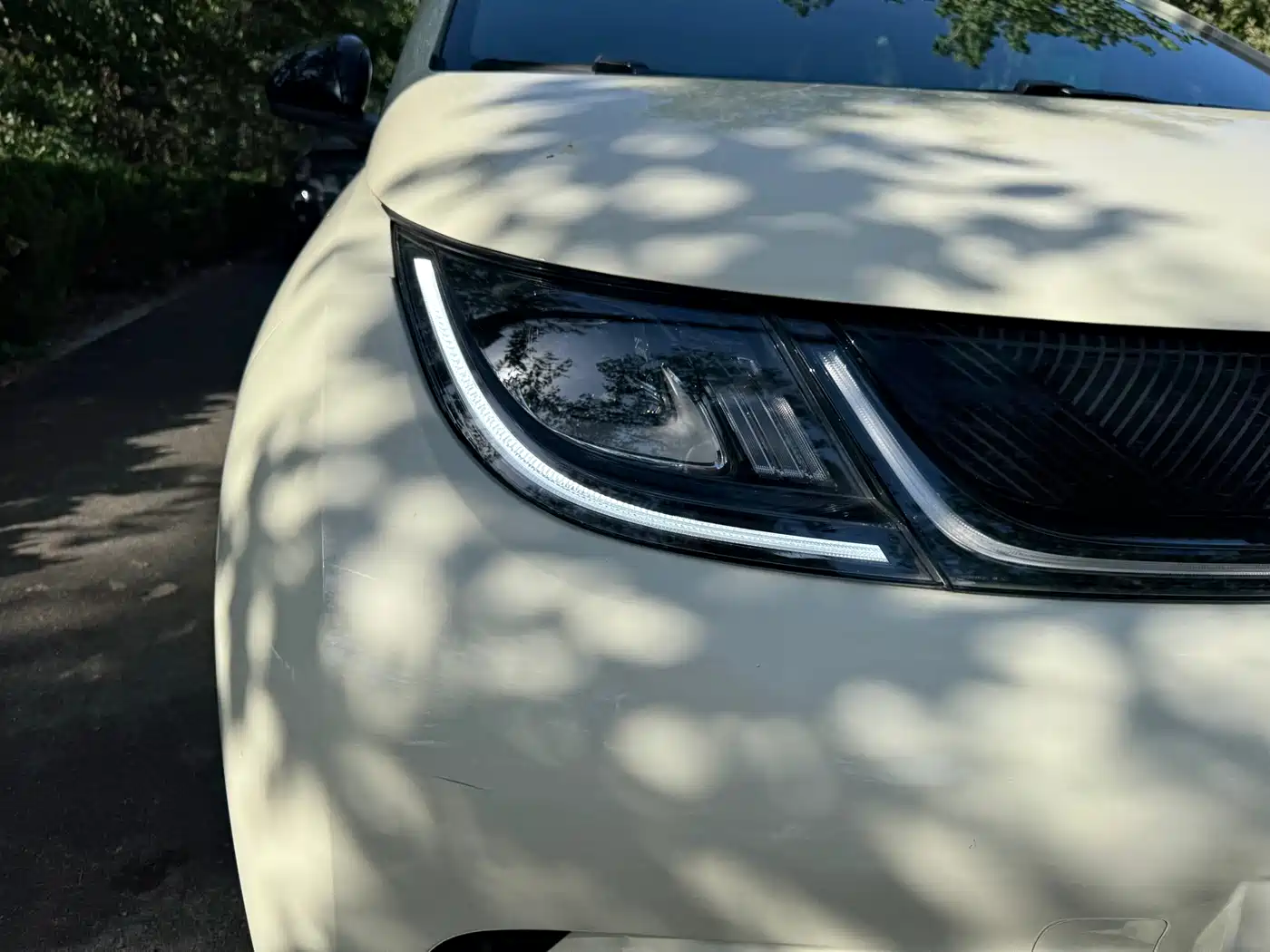 BYD Dolphin 2023 420km Fashion Edition фото 6