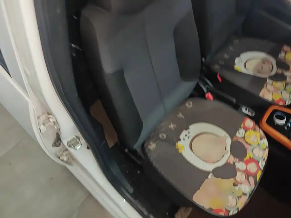 BYD e1 2020 2019 Radiance Edition