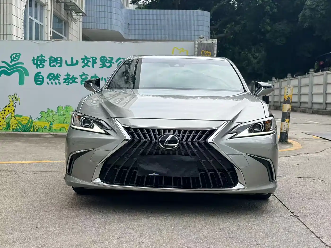Lexus ES 2023 200 Excellence Edition фото 2