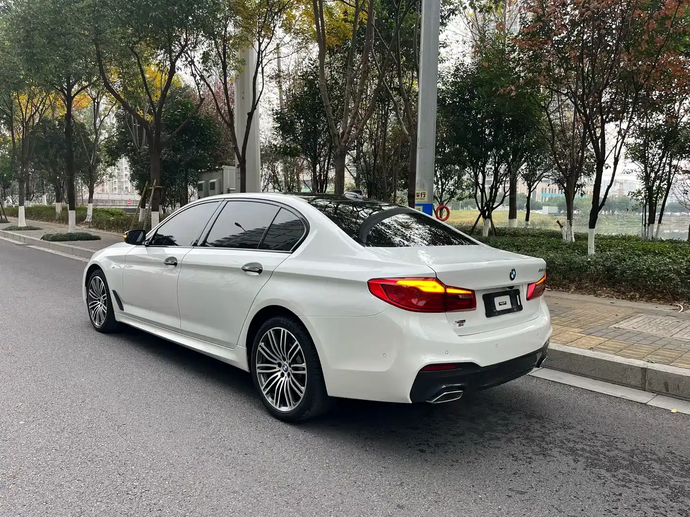 BMW 5 Series 2018 Facelift 530Li xDrive M Sport Package фото 5