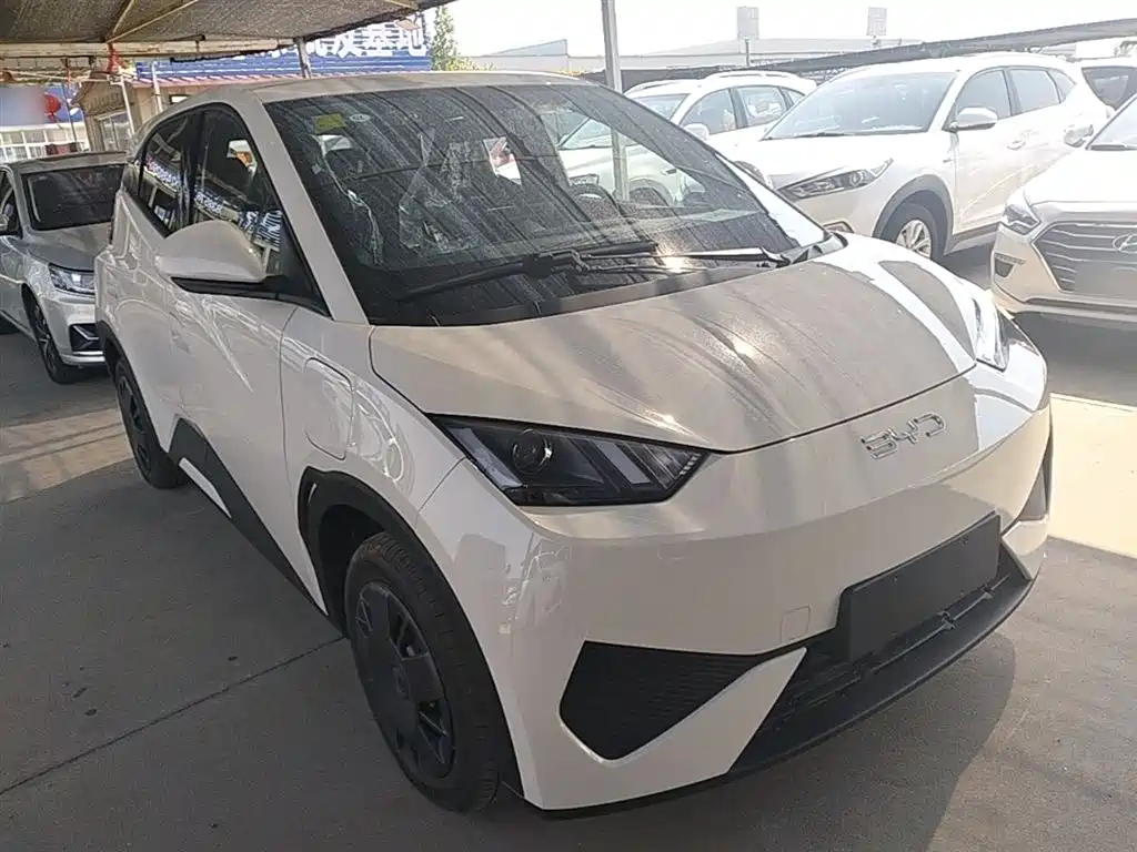 BYD Seagull 2025 305km Vitality фото 4