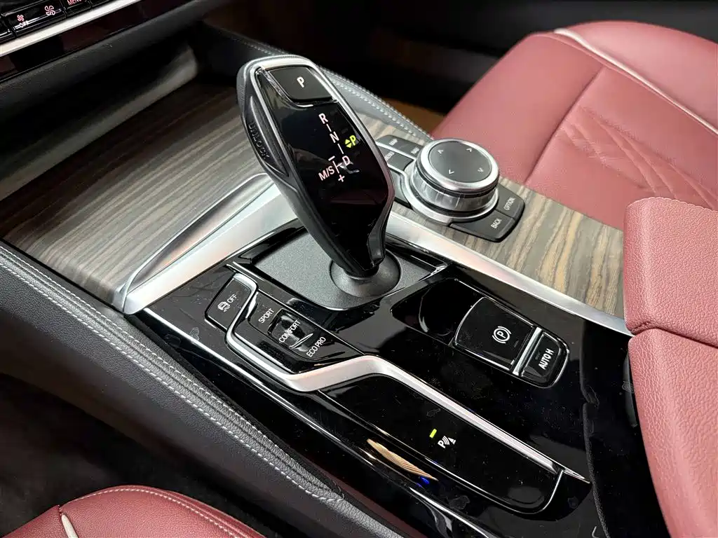 BMW 5 Series 2022 530Li Leading M Sport Package фото 13