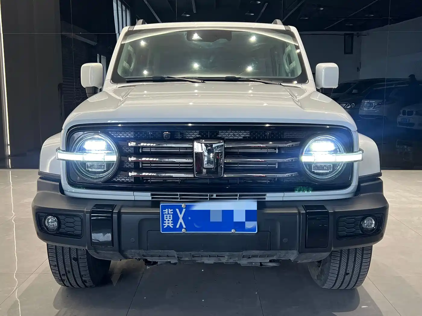 Tank 300 2024 2.0T Explorer фото 2
