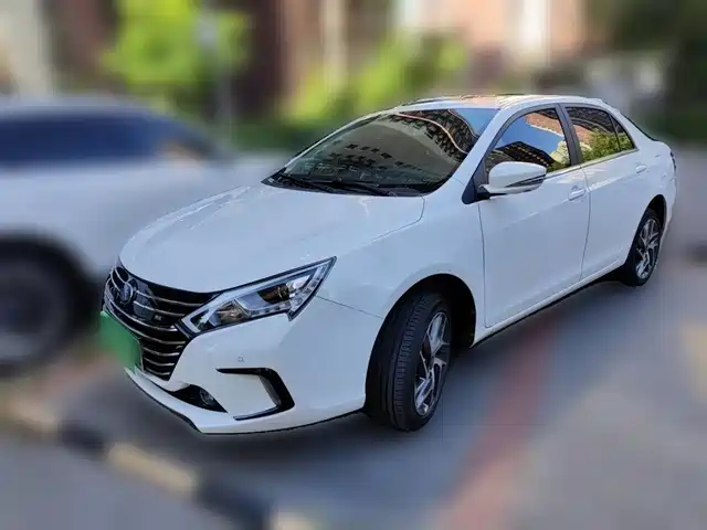 BYD QINXIN ENERGY 2019
