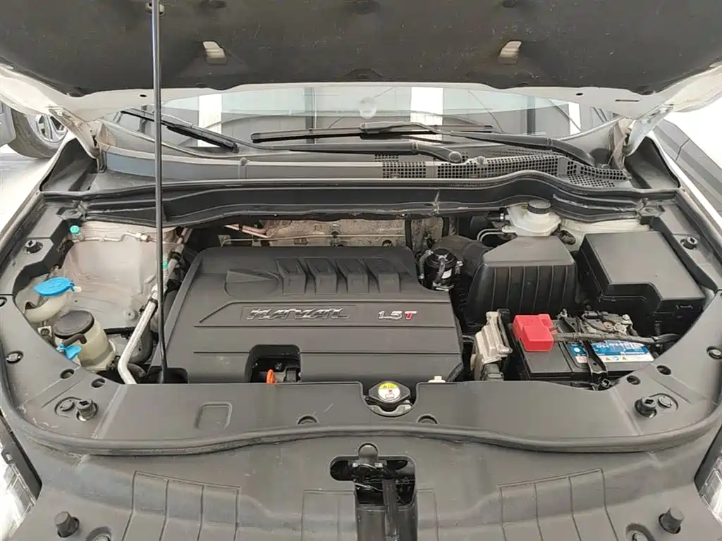 Haval H6 2017 Red Label Sport 1.5T Manual 2WD Elite фото 20