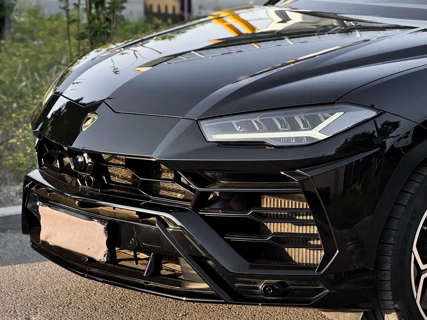 Lamborghini Urus 2018 4.0T V8 фото 14