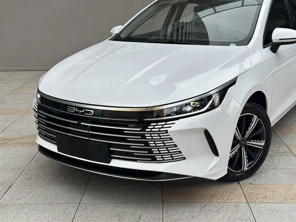 BYD Destroyer 05 2024 Glory Edition DM-i 120KM Luxury фото 2