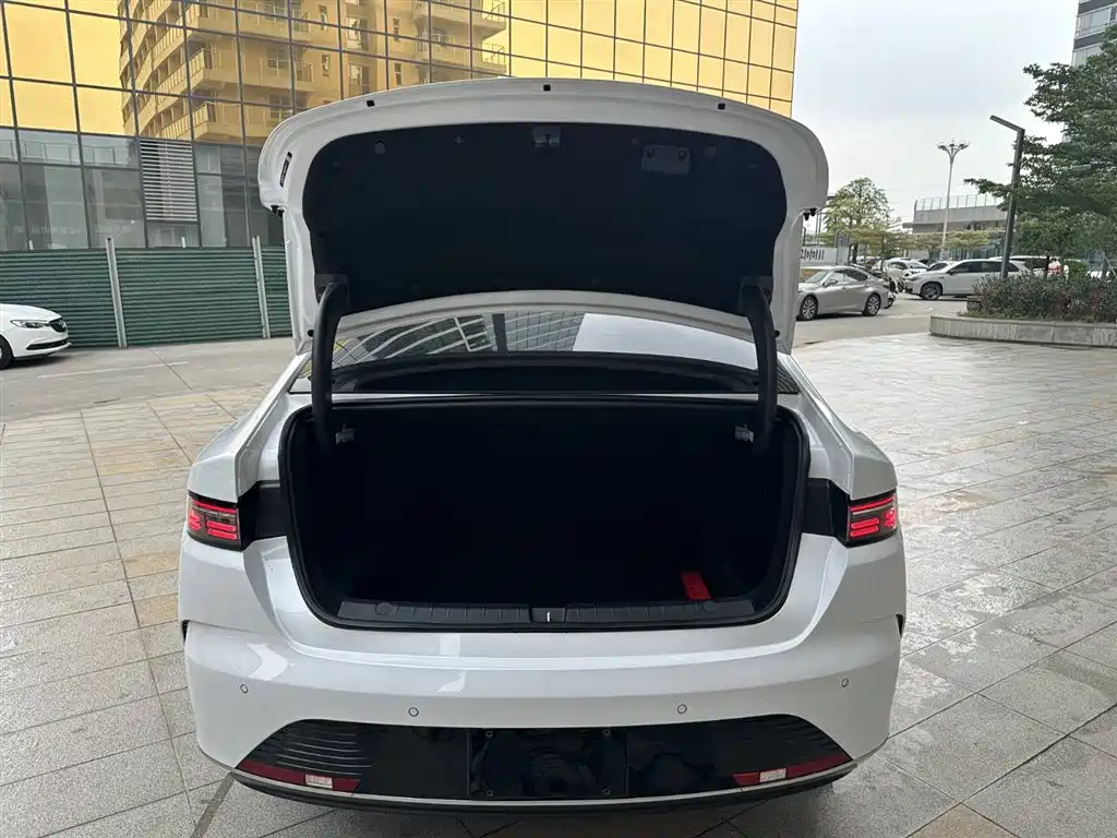 BYD Destroyer 05 2024 Glory Edition DM-i 120KM Luxury фото 18