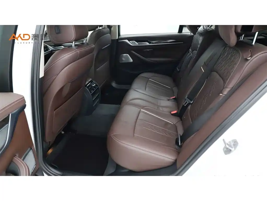BMW 5 Series 2020 530Li Leading Luxury Package фото 7