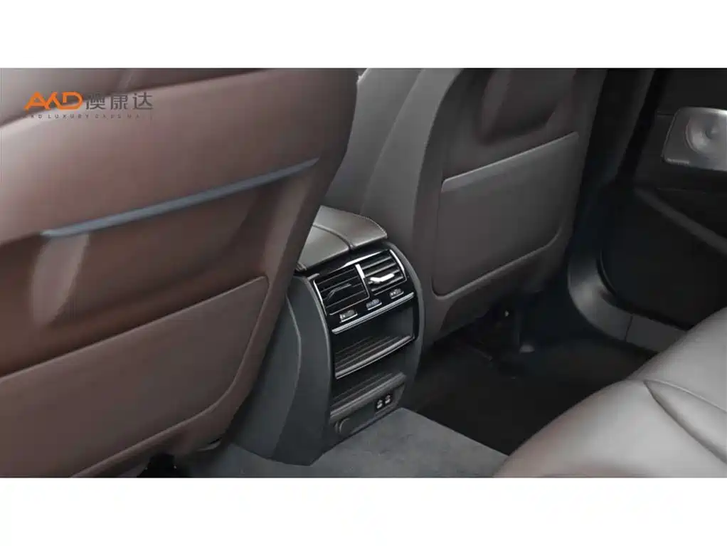 BMW 5 Series 2020 530Li Leading Luxury Package фото 9