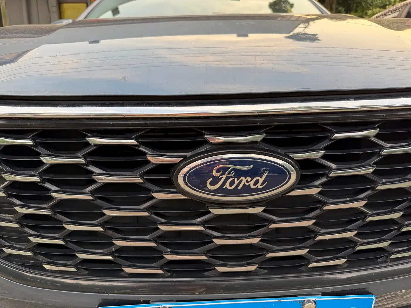 FORD FORREST
