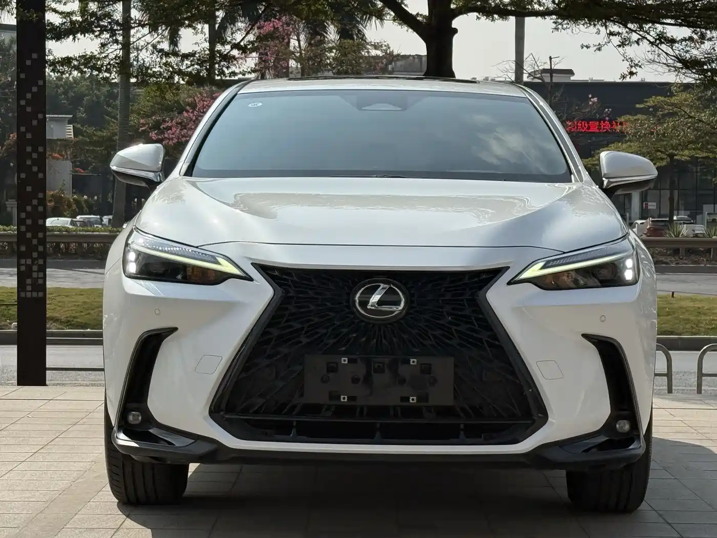 Lexus NX 2022 260 FWD Joy Creation Edition фото 2