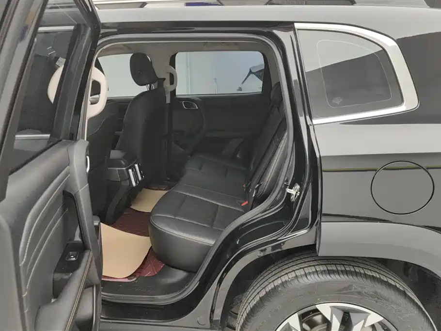 Haval Big Dog 2024 1.5T DCT Border Collie Edition фото 11