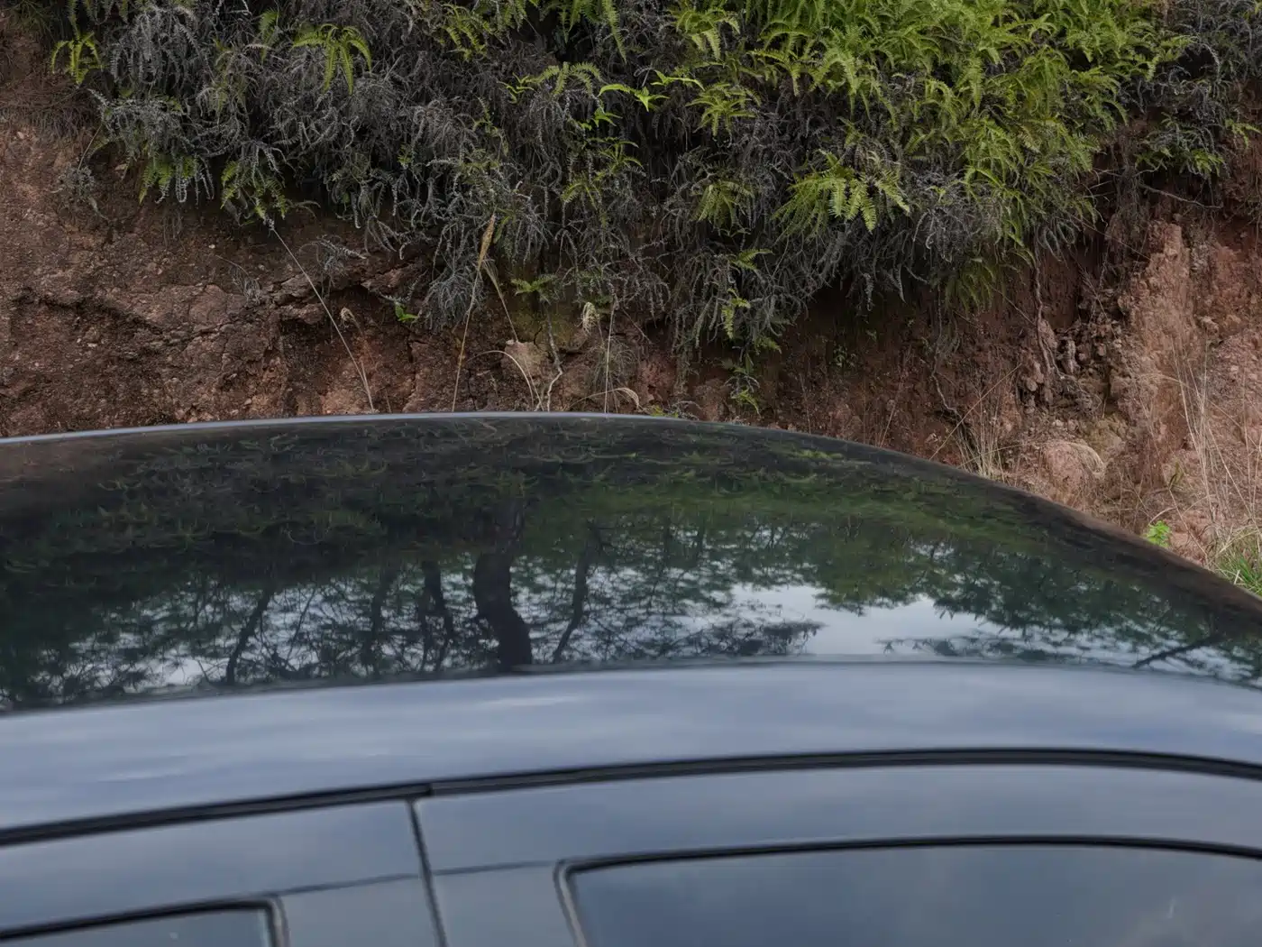 Volkswagen Lavida 2013 1.6L Manual Trend Edition фото 5