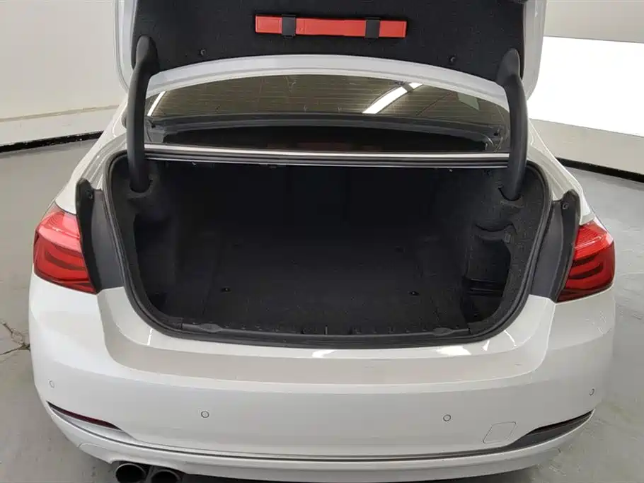 BMW 3 Series 2018 320Li xDrive Fashion Style фото 4