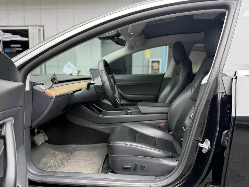 Tesla Model 3 2020 2020 Standard Range Rear-Wheel Drive Upgrade